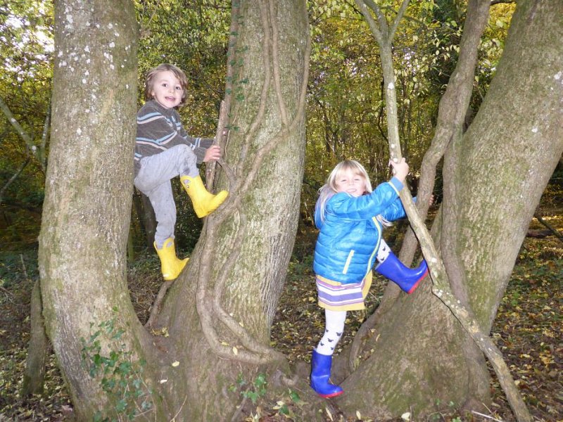 Nature Tots springing up across Sussex